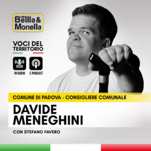 Intervista a Davide Meneghini
