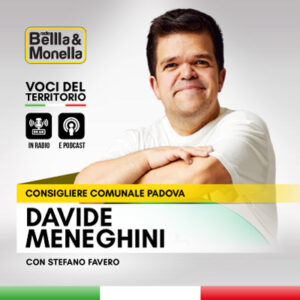 Intervista a Davide Meneghini