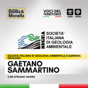 Intervista a Gaetano Sammartino