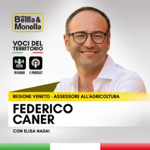 Intervista a Federico Caner